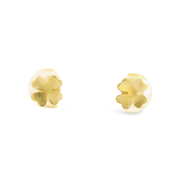 Rose Flower 925 Sterling Silver Earrings